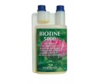 BIOTINE 5000 - Biotin vagy H-vitamin a pataproblémákra